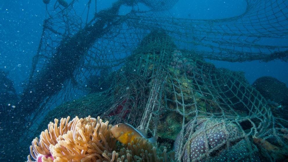 Un millón de redes de pesca acaban cada año en océanos: WWF