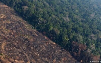 Deforestación en la Amazonía de Brasil rompió récord en abril