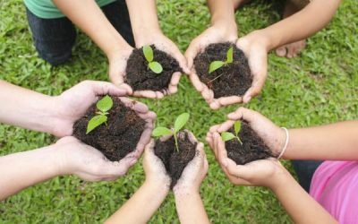 “Restaurar es ayudarle a la naturaleza a repararse”: Minambiente