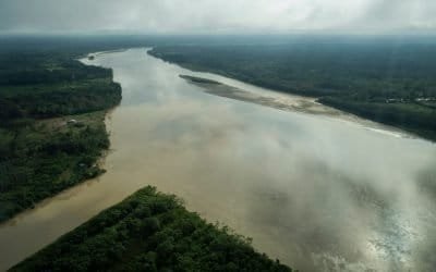 Familias del Guaviare reafirman su compromiso con la conservación de más de 3 mil hectáreas de bosques
