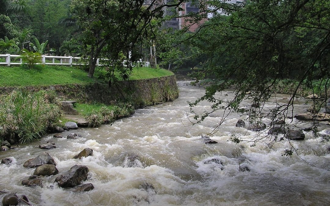 Alerta en Cali: Procuraduría revela contaminación por mercurio y plomo en cuenca del Río Cali