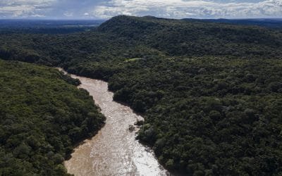 Líderes empresariales hablarán sobre compromiso del sector privado con mercados de carbono