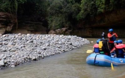 Turismo ecológico, jalonador de la economía sostenible de la Amazonía