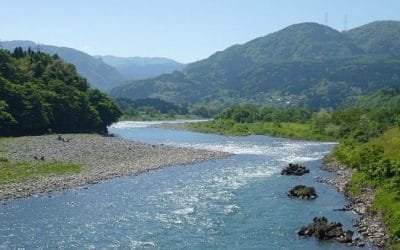 El desafío para recuperar ríos y humedales