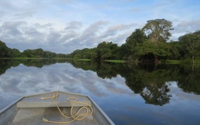 Priorizan la Amazonía por ser ecosistema estratégico