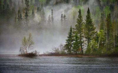 Expertos discuten cómo la ciencia puede proteger la biodiversidad