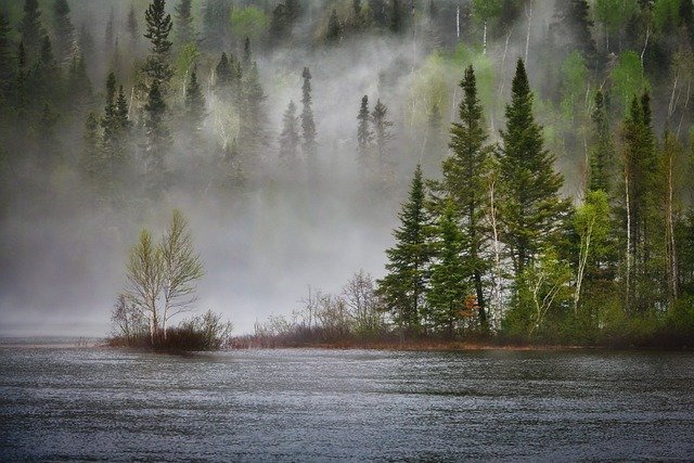 Expertos discuten cómo la ciencia puede proteger la biodiversidad