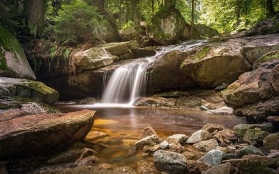 Día del Agua: piden más concertación para ciudarla