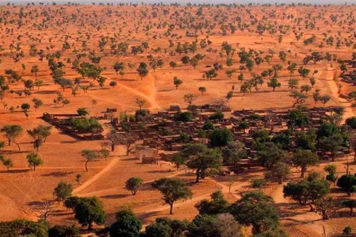 Sorprende el hallazgo de millones de árboles en el desierto del Sahara