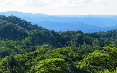 Buscan estrategia de conservación en Serranía de San Lucas