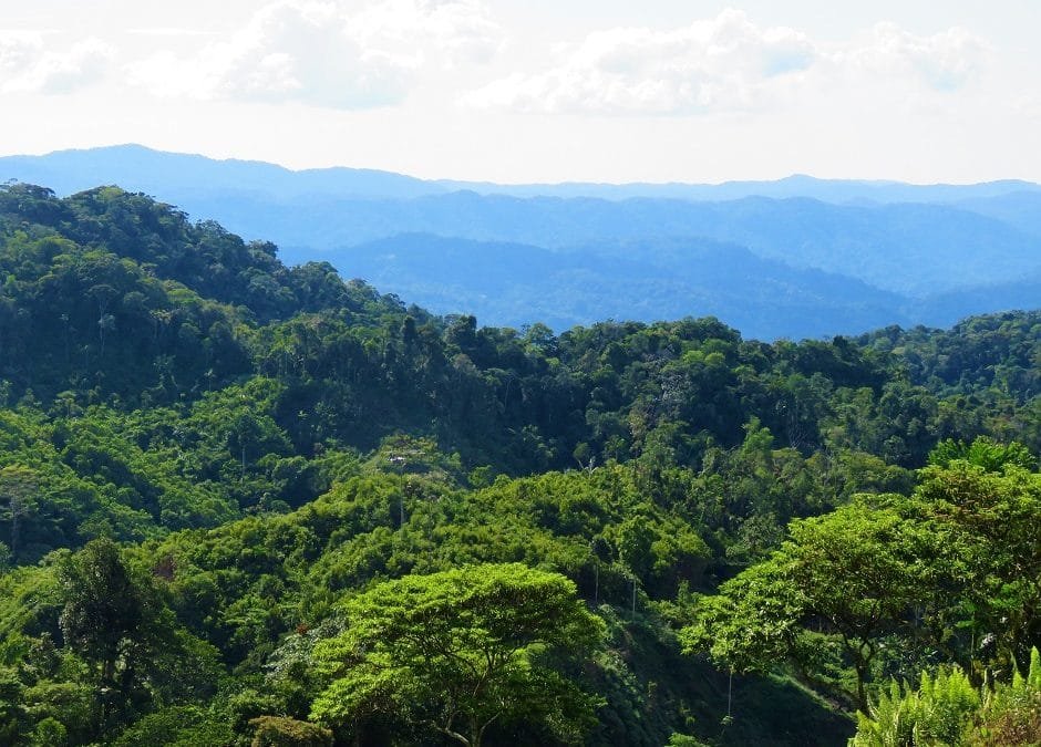 Buscan estrategia de conservación en Serranía de San Lucas