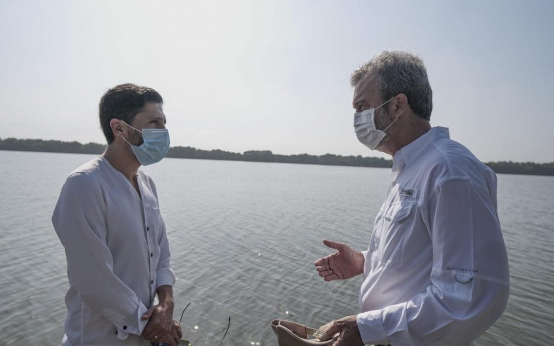 Trabajan en recuperación de los bosques de mangle en Santa Marta