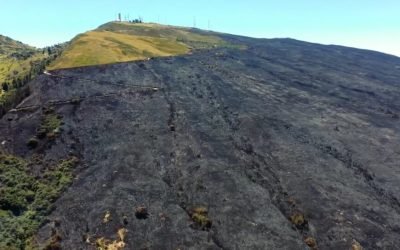 La UIS busca contribuir a la recuperación del páramo de Santurbán