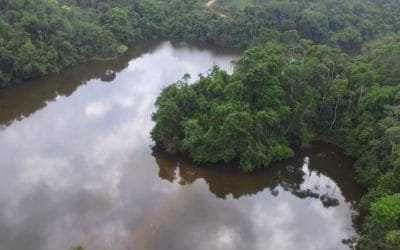 Reserva Forestal Popales, zona privilegiada para la biodiversidad en Segovia