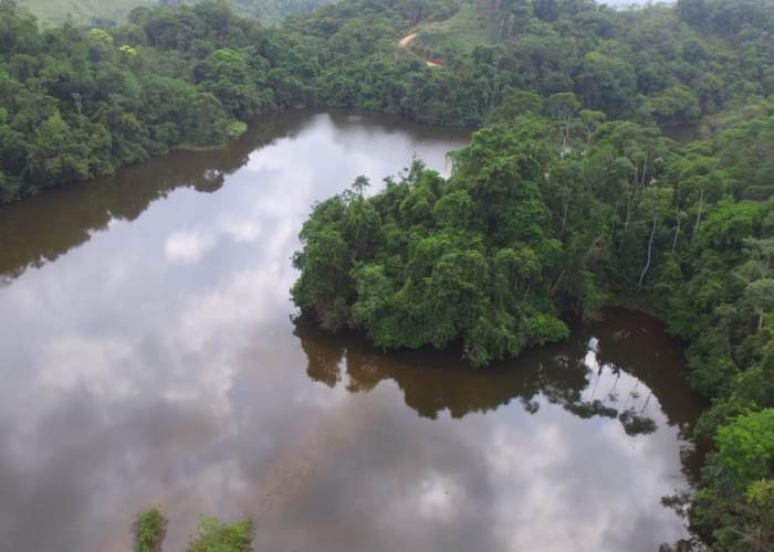 Reserva Forestal Popales, zona privilegiada para la biodiversidad en Segovia