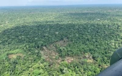 Duro golpe a deforestadores en Guaviare