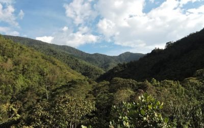 Medellín ratifica compromiso con biodiversidad