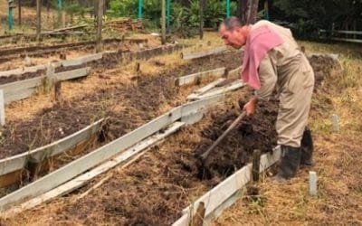 Familias de San Antonio de Prado se beneficiarán con granja para semillas criollas
