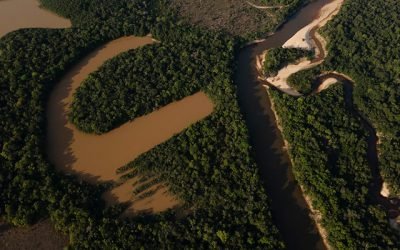 Avanza proceso para proteger Serranía de Manacacías