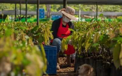 ¡Atentos! Abren convocatorias para proyectos de protección y conservación ambiental