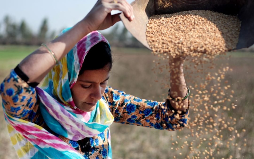 Las cifras del hambre se mantienen persistentemente altas por tres años consecutivos, mientras se agravan las crisis mundiales: informe de la ONU