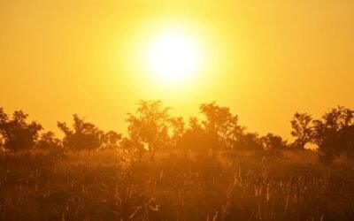 Más de 480 muertes por la ola de calor en Canadá