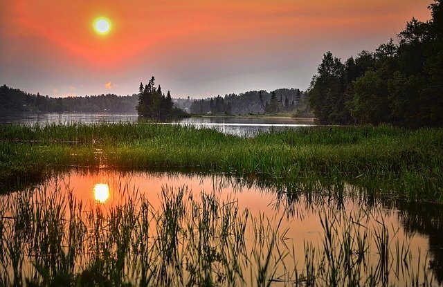 Humedales, paraísos de biodiversidad tocados por la crisis climática