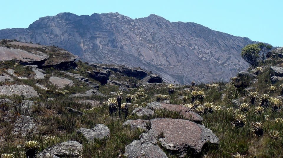 Firman acuerdo para conservar el parque Tamá