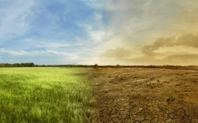 U día para hablar del Cambio Climático