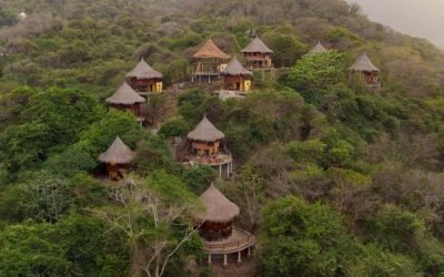 ¡Buenas noticias! Los Ecohabs en Tayrona han sido reactivados