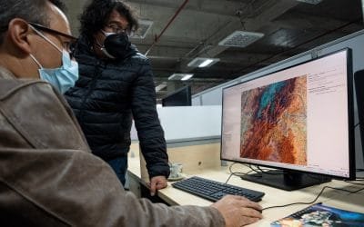 Sistema de Monitoreo de Bosques del Ideam, herramienta vital para recuperar y proteger ecosistemas
