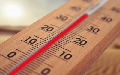 Ola de calor deja en España 238 muertos