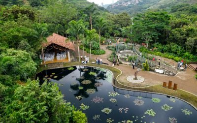 El Jardín Botánico de Cali contiene un tesoro de biodiversidad