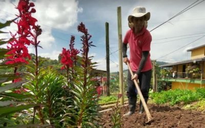 Buscan productores para modelo de Agricultura 4.0