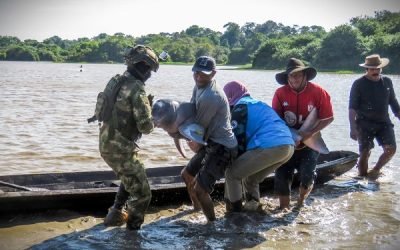 Ejército rescató a dos delfines en Vichada