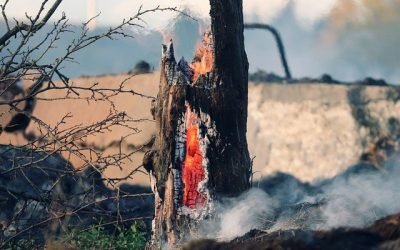 Zonas centrales de Suramérica registran aumento de incendios forestales