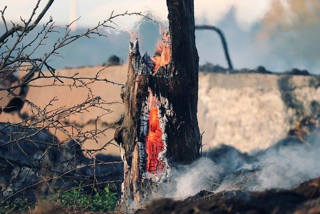 Zonas centrales de Suramérica registran aumento de incendios forestales