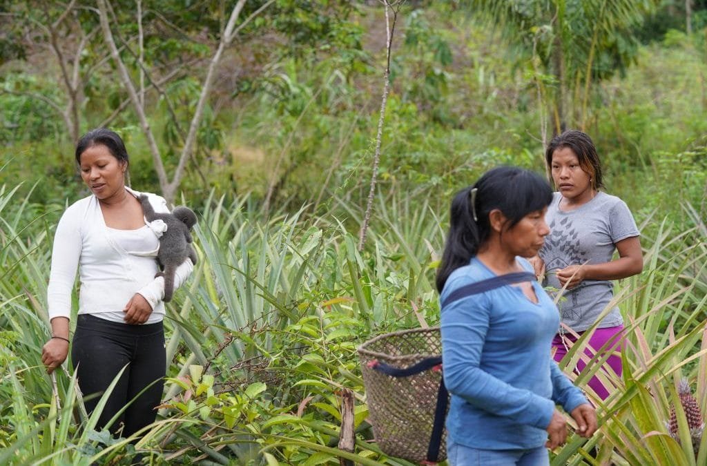 Mujeres en la conservación de los recursos naturales: alma y vida de un país que se transforma