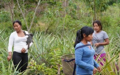 Mujeres en la conservación de los recursos naturales: alma y vida de un país que se transforma