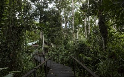 Se crea comisión para reducir riesgos asociados a los fenómenos climáticos