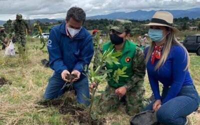 Avanza la restauración de los ecosistemas: en Chía y Montería se sembraron 3500 árboles