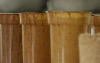 En Medellín crean un vaso biodegradable con residuos de café