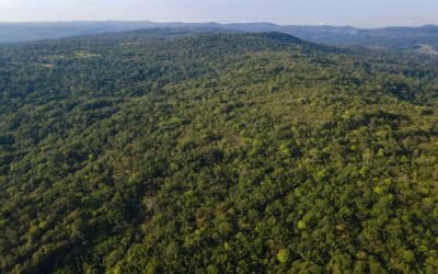 Colombia tendrá un mapa de vegetación