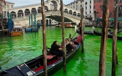Greta Thunberg y otros ambientalistas denunciaron presuntos abusos durante una protesta en Venecia