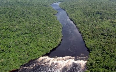 Analizan genes microbianos en el río Amazonas