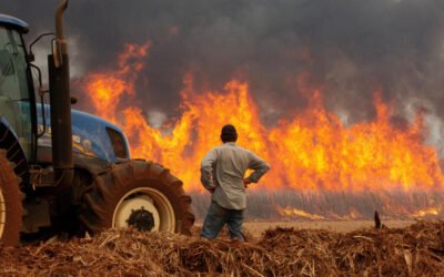 Incendios arrasaron varios países de América durante el 2024 y siguen amenazando