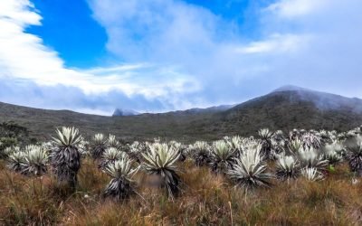 Celebran aprobación de U$43 millones para conservación de áreas protegidas