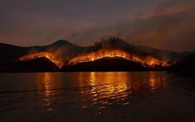 Incendios en Europa generan 6,4 megatoneladas de carbono