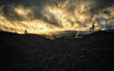 Julio registró la mayor tasa de deforestación de la Amazonía brasileña