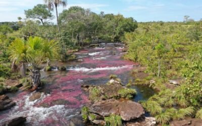 Turismo de naturaleza: alternativa productiva que aporta a la reducción de la deforestación en la Amazonía